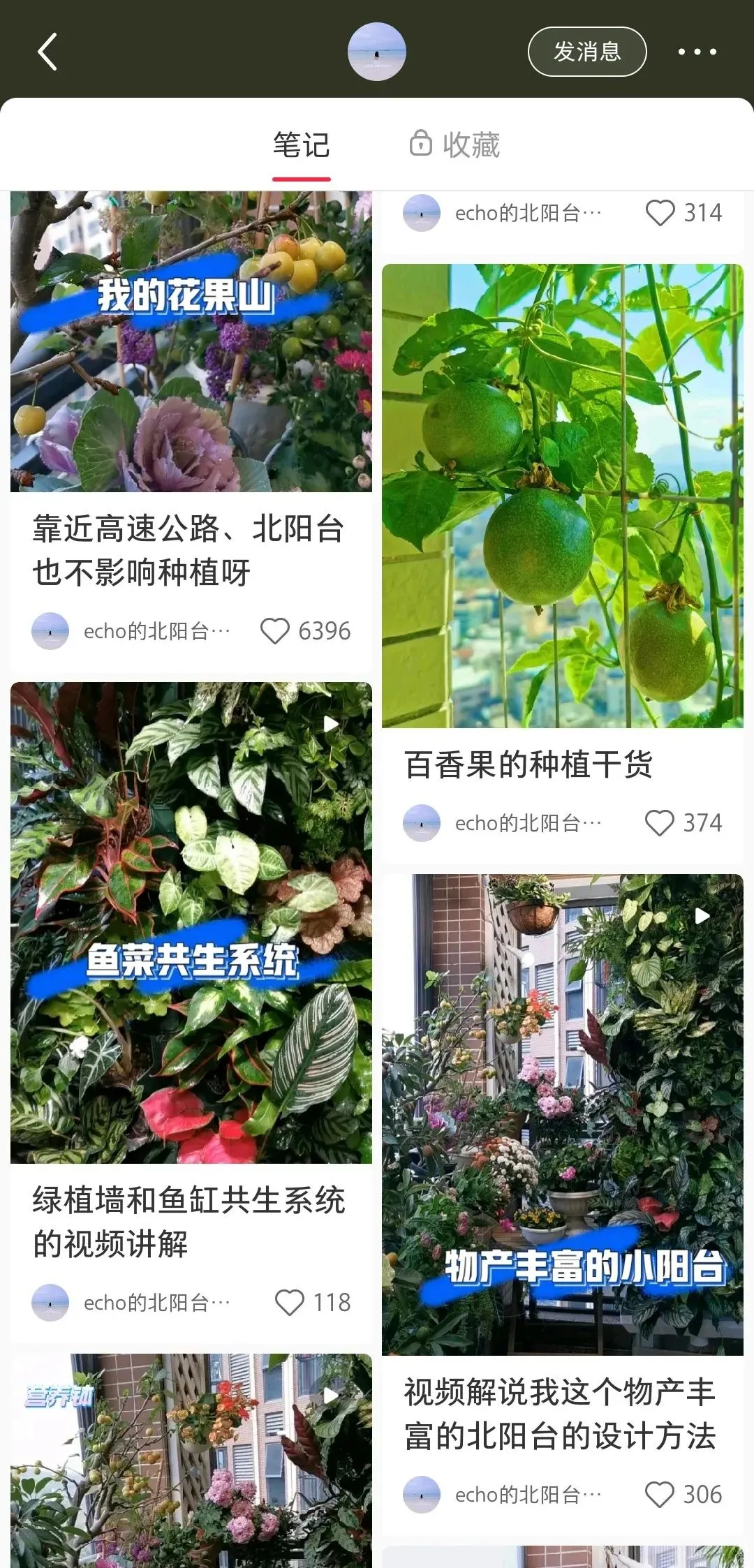 深圳女孩用500元爆改婚房:除了搞钱还能这么活