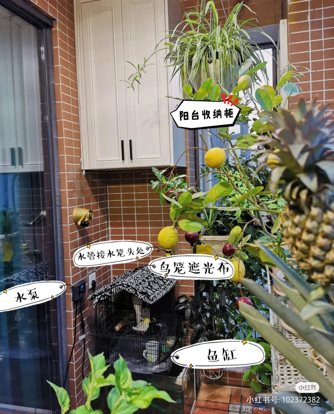 深圳女孩用500元爆改婚房:除了搞钱还能这么活