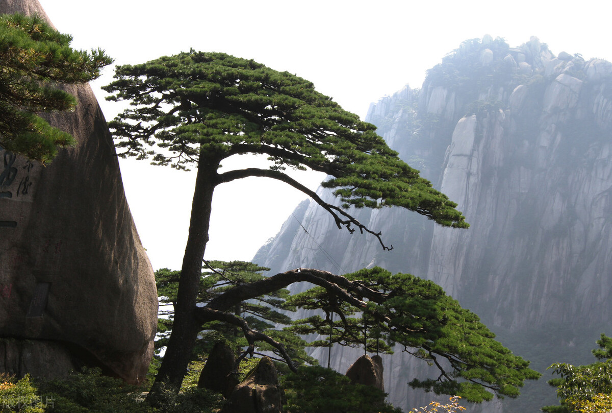 中国十大风景名胜古迹，你去过几个