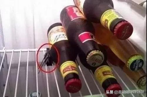 生活小技巧,小孩子都能学会(=^▽^=)